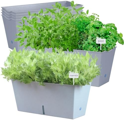 Window Box Planter 6 Pcs, 16.5 Inches Self Watering Rectangle Flower Plant Pots with Drainage Holes Trays, Vegetable Planters for Windowsill Patio Garden Balcony Porch Yard (Grey) by Oliz