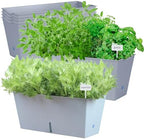 Window Box Planter 6 Pcs, 16.5 Inches Self Watering Rectangle Flower Plant Pots with Drainage Holes Trays, Vegetable Planters for Windowsill Patio Garden Balcony Porch Yard (Grey) by Oliz