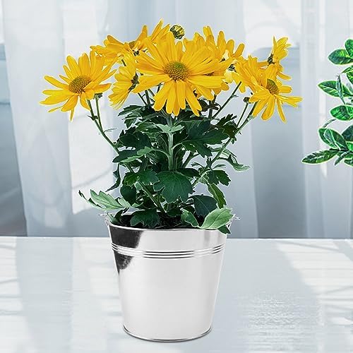 KINJOEK 8 Packs 7 Inch Galvanized Metal Bucket with Handle, Round Flower Pot Plant Rustic Basket, Galvanized Planter Pail for Balconies, Gardens Patios, Office, Indoor Outdoor Parties Wedding Decor - Image 7
