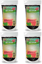 Gardenera Organic Anthurium Soil Blend - Promote Strong Root Development and Beautiful Flowers - 20 QUARTS by Gardenera