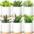 Cindeer 6 Pack Small Succulent Pots 3 Inch Plant Pots with Drainage, White by Cindeer