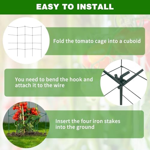 6 Packs Tomato Cages for Garden, 12"×12"×39" Plant Support Cage with Different Spacing, Green Metal Trellis for Climbing Plants Like Cucumber, Flowers - Image 5