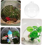12pcs Hanging Glass Terrarium Globe Micro Landscape Air Plant Holder for Indoor Decoration Hydroponic Planter for Succulents and Home - Image 3