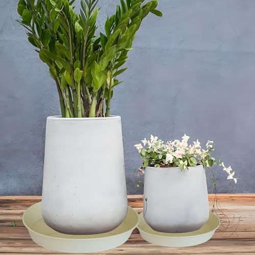 2 Pack of 18 19 inch Plant Saucer Drip Tray (16.6 inch Base), Heavy Duty Deep Plant Saucers for Pots, Plastic Flower Planter Water Trays for Indoors Outdoor (19", Beige) - Image 5