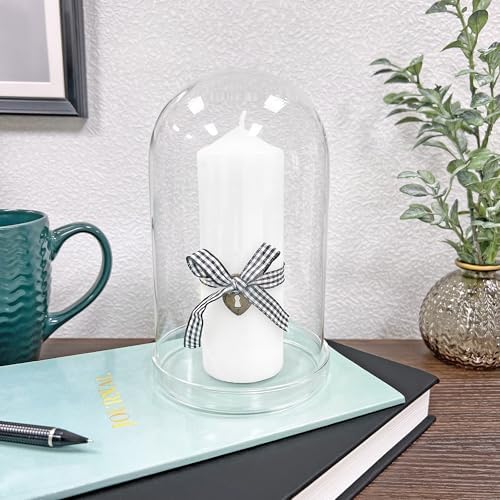 Plymor 4" x 7" Glass Display Dome Cloche (Clear Glass Tray Base), Pack of 2 - Image 3