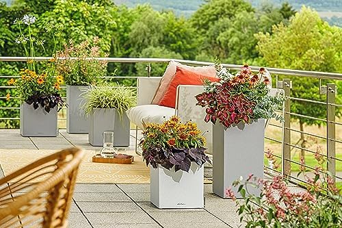 Lechuza Canto Stone Low 30 Stone Grey, Self-Watering Square Planter, H11.8 L11.8 W11.8 in - Image 6