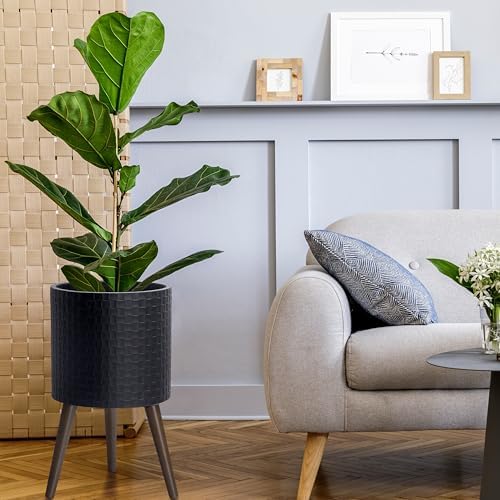 D'vine Dev Planter Pot with Wood Stand, 12 in, Matte Black, 88-Z-C-2 - Image 2