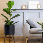 D'vine Dev Planter Pot with Wood Stand, 12 in, Matte Black, 88-Z-C-2 - Image 2