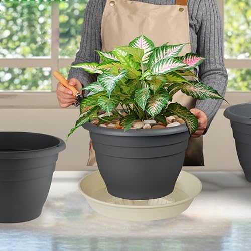 4 Pack Plant Saucer 12 inch, 8 10 14 17 inch, Plant Stand Plastic Plant Saucers for Indoors Outdoor, Heavy Duty Flower Saucers for Potted Plants, Pot Saucers for Plants, Grow Bags Saucers - Image 6