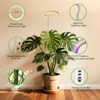Grow Lights for Indoor Plants Full Spectrum,6.3" LED Wood Grain Plant Grow Light,9.8-65in Height Adjustable Plant Lights Growing Lamp with Auto Timers 3H/9H/12H,10 Dimmable Levels (Wood Grain 2 Pack) - Image 4