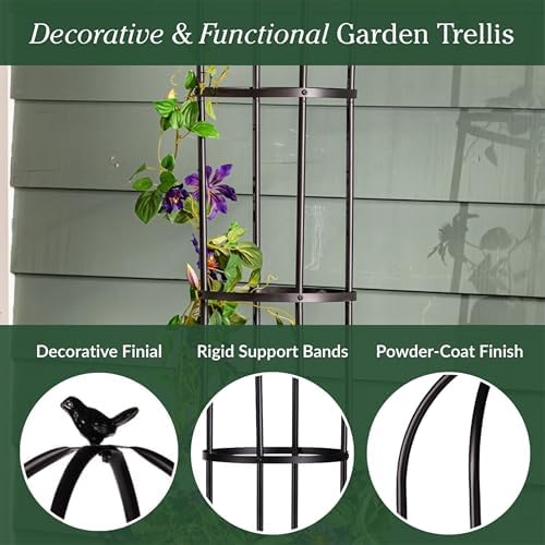 Evergreen Metal Garden Obelisk Trellis for Climbing Plants Outdoor, Indoor Plant Trellis for Potted Plants, Floral Pattern Arch Trellis (Black, 7 ft. Round) - Image 4