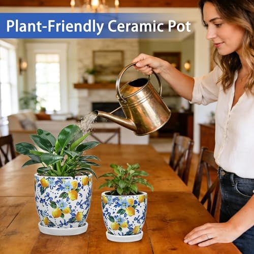 5.3+4.3 inch Ceramic Plant Pots, Set of 2 Blue and White Plant Pot with Drainage Holes and Saucers Small Lemon Indoor Planters Decorative Flower Pots for Succulents, Cacti, Snake Plants, and Herbs - Image 5