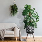 D'vine Dev Planter Pot with Wood Stand, 16 in, White/Black, 88-G-E-4 - Image 7