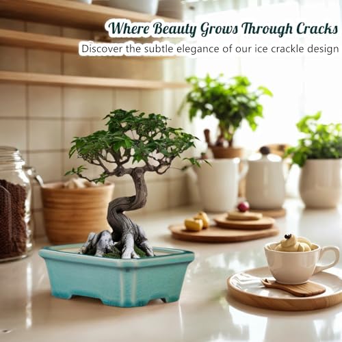 3-Pack 6 Inch Ceramic Bonsai Pots with Drainage Tray for Desktop - Image 7