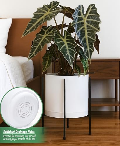 D'vine Dev Plastic Planter Pot with Metal Stand, White, 12 in, 55-D-A-3 - Image 5