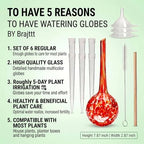 Self Watering Globes,6 Pack Plant Watering Globes,Plant Water Bulbs - Image 2
