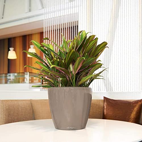Lechuza 16045 Classico LS 28 Self-Watering Planter, Shiny Taupe High Gloss - Image 2