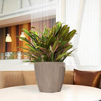 Lechuza 16045 Classico LS 28 Self-Watering Planter, Shiny Taupe High Gloss - Image 2