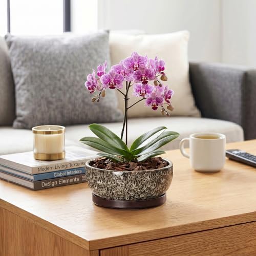 Bonsai Pots, 8 Inch Ceramic Succulent Pot with Saucer, White Leopard - Image 5
