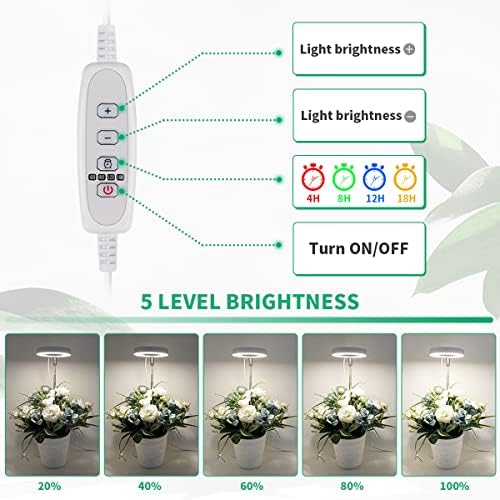 GYTF Halo Plant Grow Light, 6000K White LED Full Spectrum Growing Lamp for Indoor Plants, Succulents, Mini Bonsai, Small Plants, Height Adjustable, Dimmable & Timer 4/8/12/18Hrs,4 Pack - Image 2