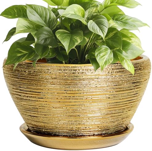 Ceramicfor Ceramic Plant Pot Indoor - 9 Inch Planters for Outdoor Plants Decorative Plant Pot with Drainage Hole and Saucer Round Planter Modern Flower Pot Decorative for House Decor Gold by Ceramicfor