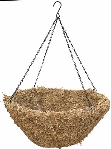24" Sphagnum Moss Hanging Basket with Chain Hanger by Topiary+Art+Works