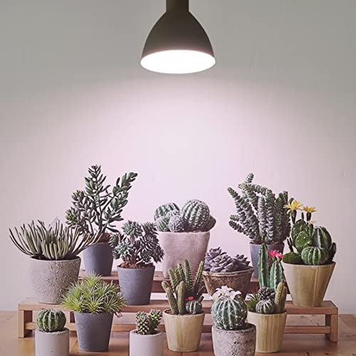 Smart Grow Light Bulbs for Indoor Plants, Programmable Timer and Dim - Image 6