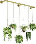 SOFITORG 65.7" Metal Plant Hanging Rod with 6 Chains, Pots Not Included by SOFITORG