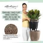 Lechuza Classico LS 21 Shiny Taupe High Gloss, Self-Watering Round Planter, D8.3 H7.9 in - Image 4