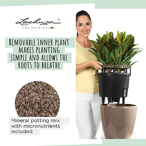 Lechuza Classico LS 43 Charcoal Metallic, Self-Watering Round Planter, D16.9 H15.7 in - Image 4
