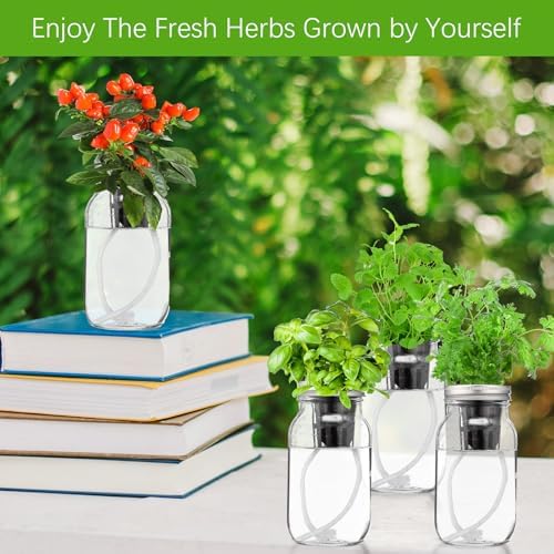 Teenyyou 6 Set Hydroponic Mason Garden Jar Kit Self Watering Herb Hydroponic Planter Starter Kit with Net Pot Garden Flower Plant Growing Gift for Indoor Herbs Windowsill Gardening - Image 6