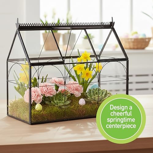 D'Eco Glass Greenhouse Plant Terrarium, Centerpiece & Wedding Letterbox - Image 3