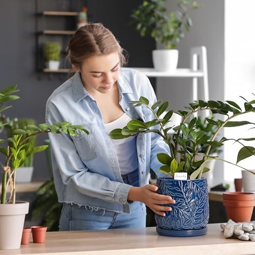 D'vine Dev 2-Pack Embossed Leaves Planter, 4/6 in, Midnight Blue, 27-B-U-3 - Image 5