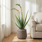 2.5ft Artificial Agave Plants, Fake Aloe Vera Plant with 13 Leaves in Brown Pot, Large Faux Floor Plant for Home Office Hotel Bedroom Patio Balcony or Garden Indoor Decor - Image 3