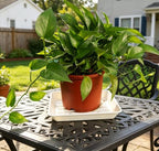 4 Pack 14" Square Plant Saucer No Holes, Sturdy Plastic Water Tray for Indoors Outdoor Garden, White - Image 4