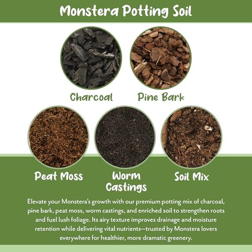 Soil Sunrise Monstera Houseplant Potting Soil Mix (12 Quarts) Custom Blend for Growing and Repotting - Image 5