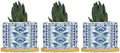 French Cairo Blue and White Ceramic Planters Chinoiserie Floral Planters for Indoor Plants with Drainage Holes and Saucers Pot for Home Office Desk Garden by BRUYU5SE