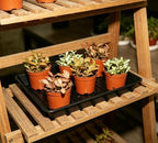 2 Packs Plant Saucer Pot Tray, 16 inch Black Flower Planter Saucers and Drip Trays - Image 3