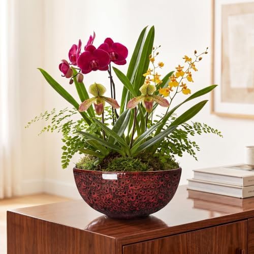 Bowl Planter, 10 Inch Ceramic Bonsai Pots, Red Leopard - Image 4