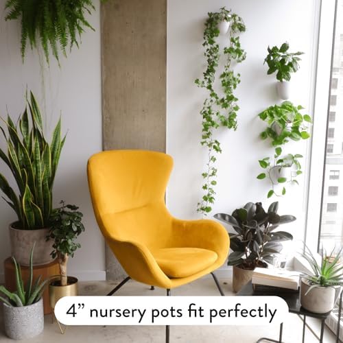 Make Good PlantPod Luxe - Self-Watering Wall Planters (Set of 6) - Easy to Water and Install - Lightweight - Design Your Own Vertical Garden - Wall Planters for Indoor Plants - Image 5