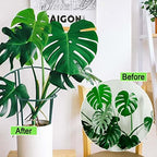 HiGift Peony Cages and Supports 24" H x 10" W, 8 Pack Tall Snake Plant Support Stake Half Round Metal Garden Stake for Indoor and Outdoor Plants, Flower Support Ring Border for Tomato,Hydrangea,Rose - Image 5