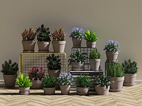 2 Inch Grey Terracotta Pots Pack of 72 - Mini Clay Pot with Drainage Hole for Tiny Cactus Herb lithop, Small Succulent Planter Nursery Plant Pot for Windowsill, Cactus Plant, Crafts, Wedding Favors - Image 5