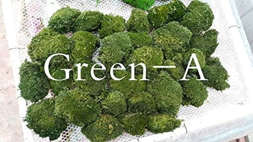 Preserved Pole Moss Pillow Bun Cushion Natural Decorative Real Natural Green DIY Kit Gardenning Art Wall Decor Florist Decor Easter Table Decor Wedding(1.5 sq.ft, Green-A) - Image 6