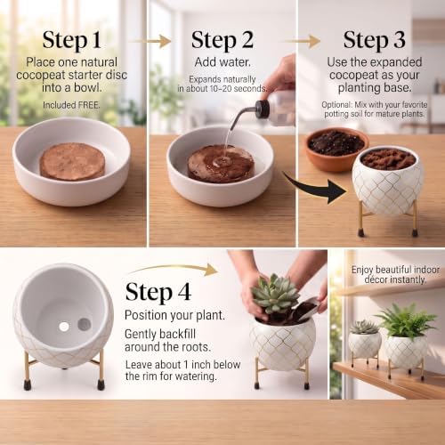 Metal Indoor Planter for Succulents with Drainage Hole and Cocopeat Disc, Set of 2 for Home Decor. (White & Gold) - Image 5