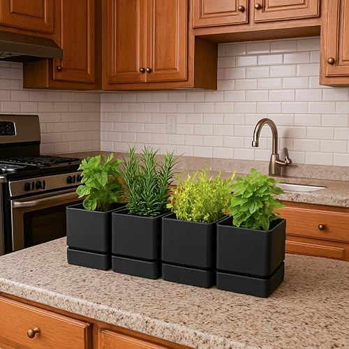 D'vine Dev 4-Pack Plastic Herb Planter Pots, 4 in, Black, 76-Y-B4-1 - Image 6