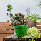 DECOPOTS - 3 Pack - Self Watering Planter - Modern Flower Pot with Water Level Indicator - 6.3" Tall - for All House Plants, Flowers, Herbs (Diameter 7.9", Graphite - White) - Image 6