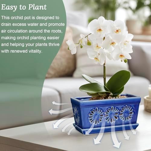 EFISPSS 10 Inch Orchid Pot, Ceramic Orchid Pots with Holes, Indoor Flower pots with Drainage and Saucer, Plant Pots Enhance Good Ventilation - Blue - Image 6