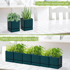 D'vine Dev 6-Pack Plastic Herb Planter Pots, 4 in, Green, 76-Y-C-1 - Image 6