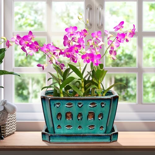 Teenyyou 7 Inch Ceramic Orchid Pot with Holes and Saucer Repotting,Green by Teenyyou