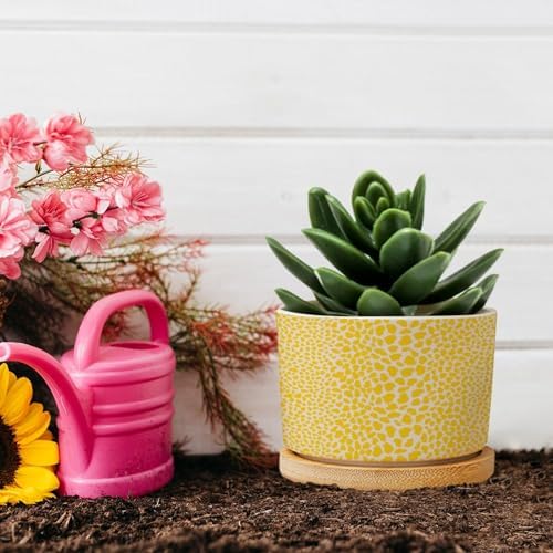 Yellow Leopard Print Planters Ceramic African Animal Stripe Round Plant Pots with Drainage Holes and Bamboo Tray Pot for Home Office Decoration - Image 5